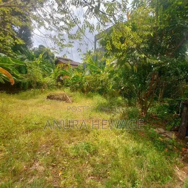Land for Sale Hokandara, Thalawathugoda Road. (ID : THLW001)