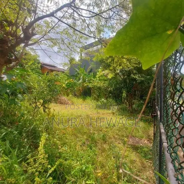 හෝකන්දර, තලවතුගොඩ පාරේ පිහිටි ඉඩමක් විකිණීමට ඇත. (ID : THLW001S)
