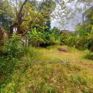 Land for Sale Hokandara, Thalawathugoda Road. (ID : THLW001)