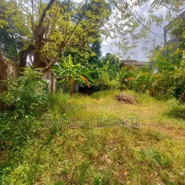 Land for Sale Hokandara, Thalawathugoda Road. (ID : THLW001)