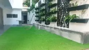 Artificial Grass Carpet