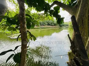 (AFA446) Water Front Facing 15 P Property Sale at 9th Lane Ethulkotte