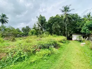 240 Perches Land for Sale at Madulawa Road, Watareka