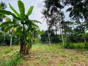 240 Perches Land for Sale at Madulawa Road, Watareka