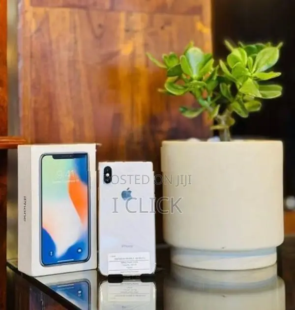 Apple iPhone X 256GB (Used)
