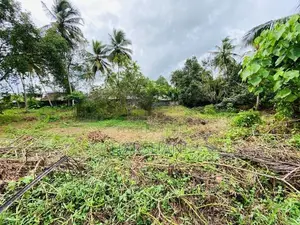 240 Perches Land for Sale at Madulawa Road, Watareka