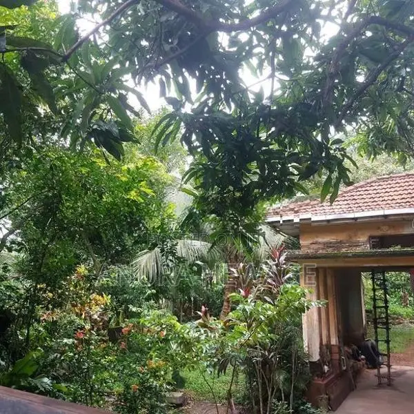 Land for Sale Bokundara, Piliyandala facing 120 bus route. (ID : PL05)