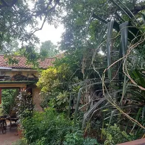 පිළියන්දල, බෝකුන්දර පිහිටි ඉඩමක් විකිණීමට ඇත. (ID : PL05S)