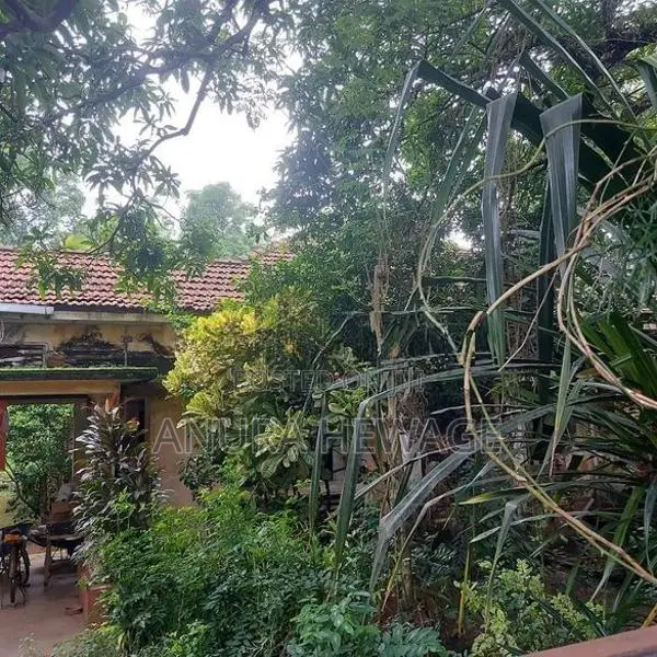 පිළියන්දල, බෝකුන්දර පිහිටි ඉඩමක් විකිණීමට ඇත. (ID : PL05S)