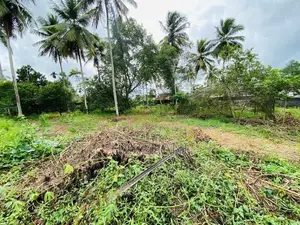 240 Perches Land for Sale at Madulawa Road, Watareka