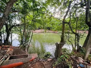 (AFA446) Water Front Facing 15 P Property Sale at 9th Lane Ethulkotte
