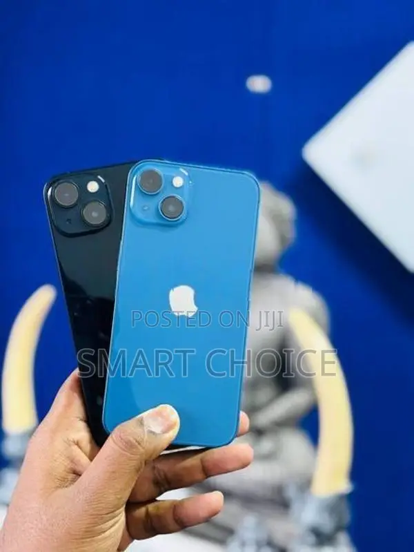 Apple iPhone 13 128GB 5G D (Used)