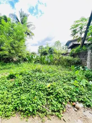 Super Land For Sale Hanwella