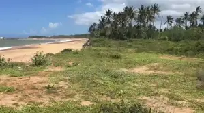 (AFA453)200 P Beach Facing Land Sale At Usangoda Nonagama