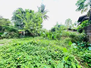 Super Land For Sale Hanwella