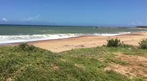 (AFA453)200 P Beach Facing Land Sale At Usangoda Nonagama
