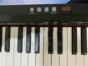 Electronic Piano