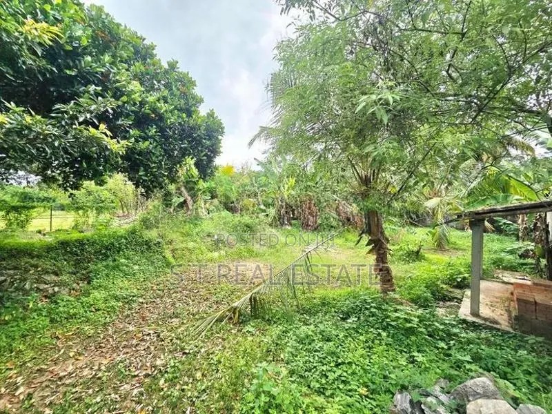 26P Land & 80P Paddy Field For Sale In Kesbewa