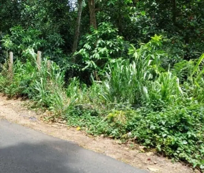 Kandy : 30 perches Commercial Land for Sale Facing road