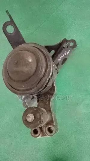 Aqua NHP10 Gell mount