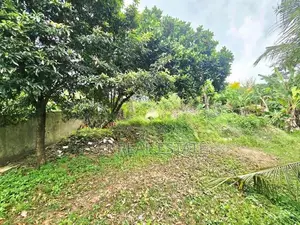 26P Land & 80P Paddy Field For Sale In Kesbewa