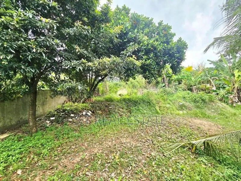 26P Land & 80P Paddy Field For Sale In Kesbewa