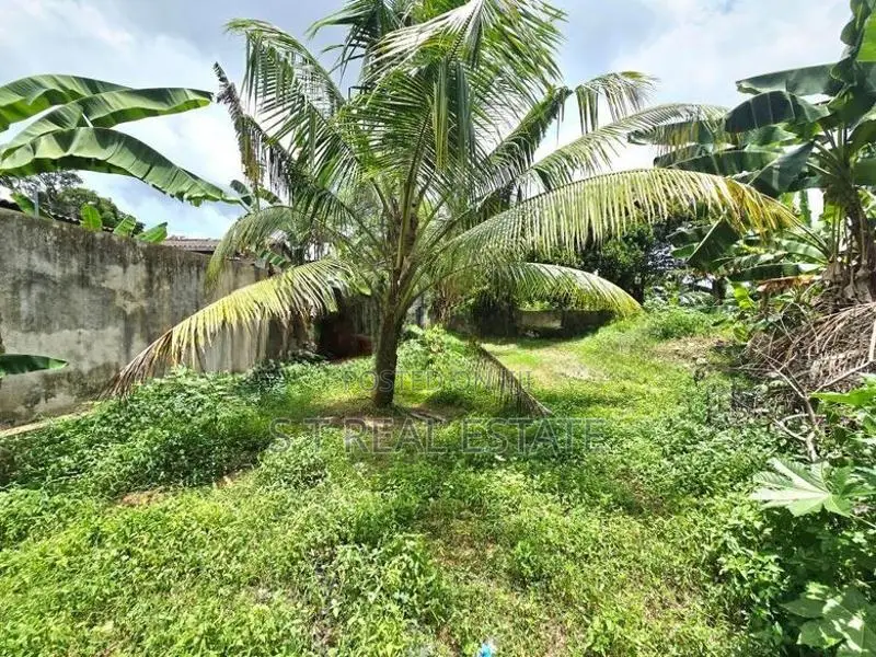 26P Land & 80P Paddy Field For Sale In Kesbewa