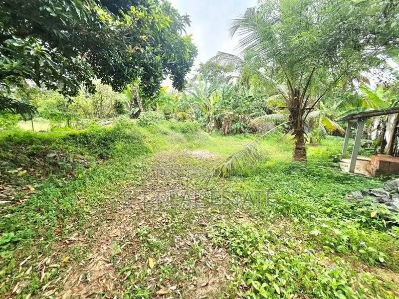 26P Land & 80P Paddy Field For Sale In Kesbewa