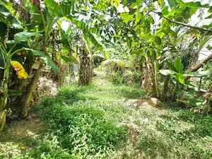 26P Land & 80P Paddy Field For Sale In Kesbewa