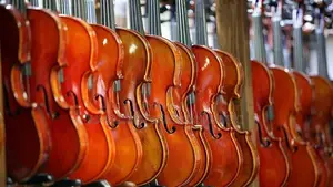 Brand new Super Lark violin full set