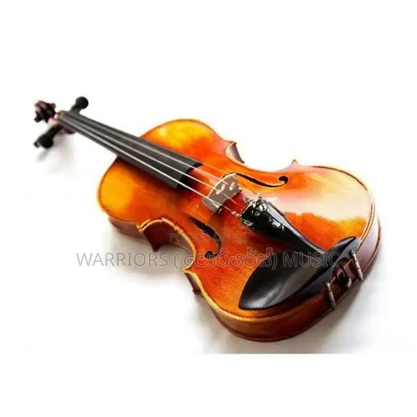 Brand new Super Lark violin full set