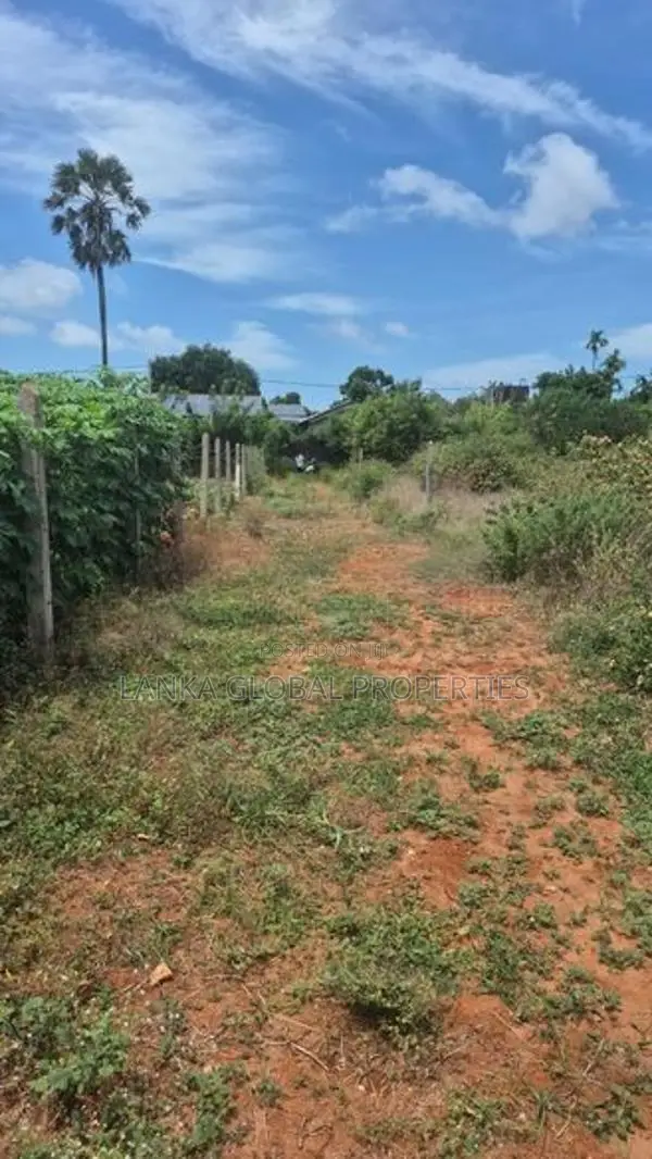 Land for Sale in Kondavil East,