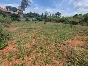 Land for Sale in Kondavil East,