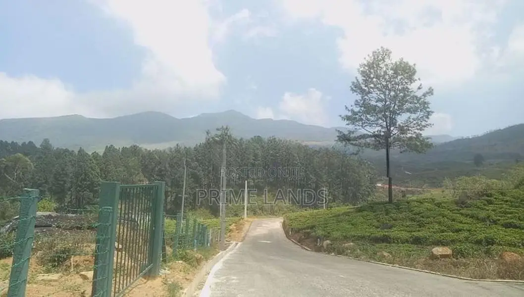Land for Sale Nuwara Eliya