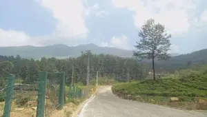 Land for Sale Nuwara Eliya