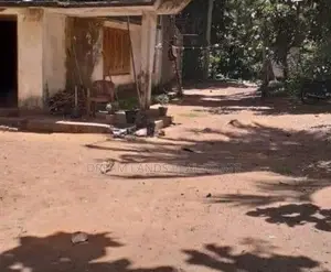 Commercial Land for Sale in Beliatta (sp811)