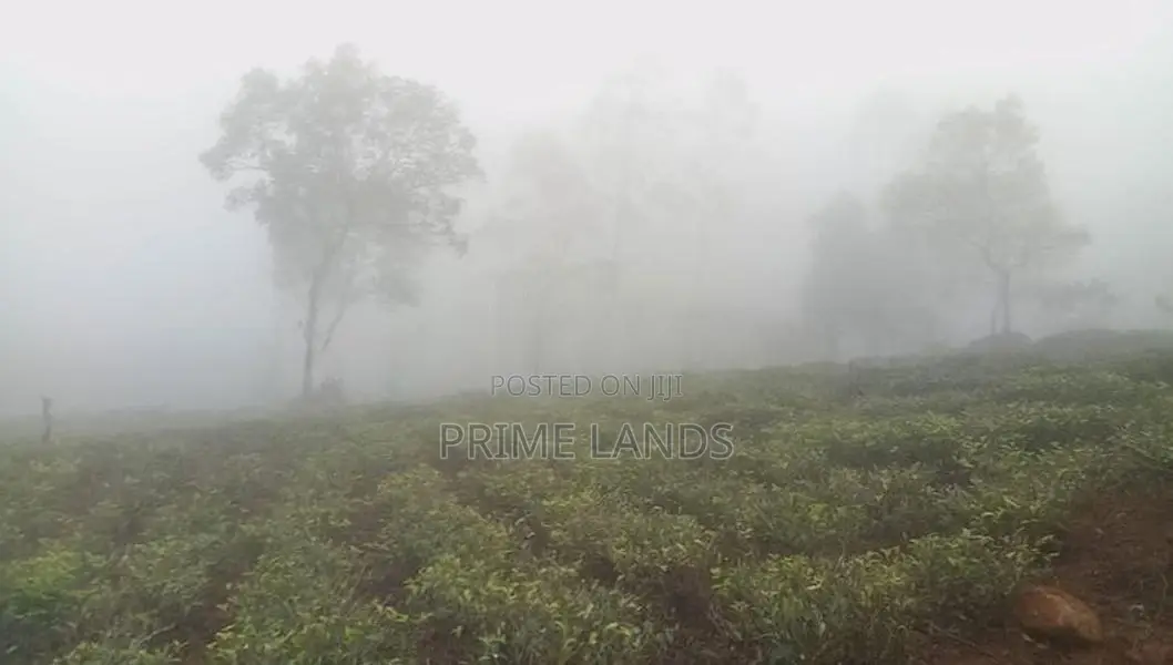 Land for Sale Nuwara Eliya