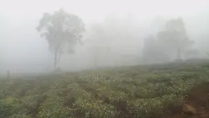 Land for Sale Nuwara Eliya