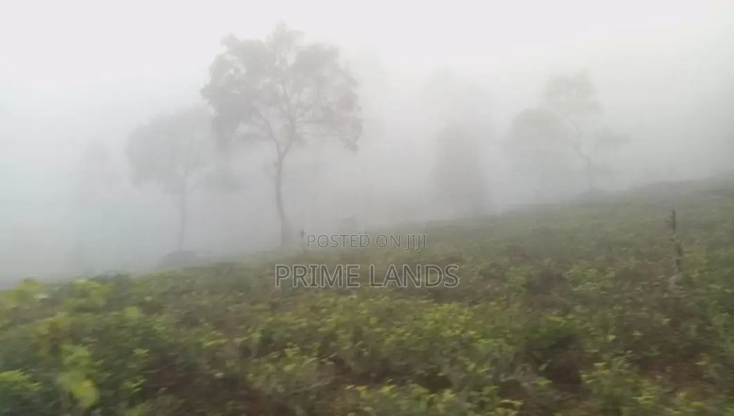 Land for sale Nuwara Eliya