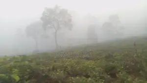 Land for sale Nuwara Eliya