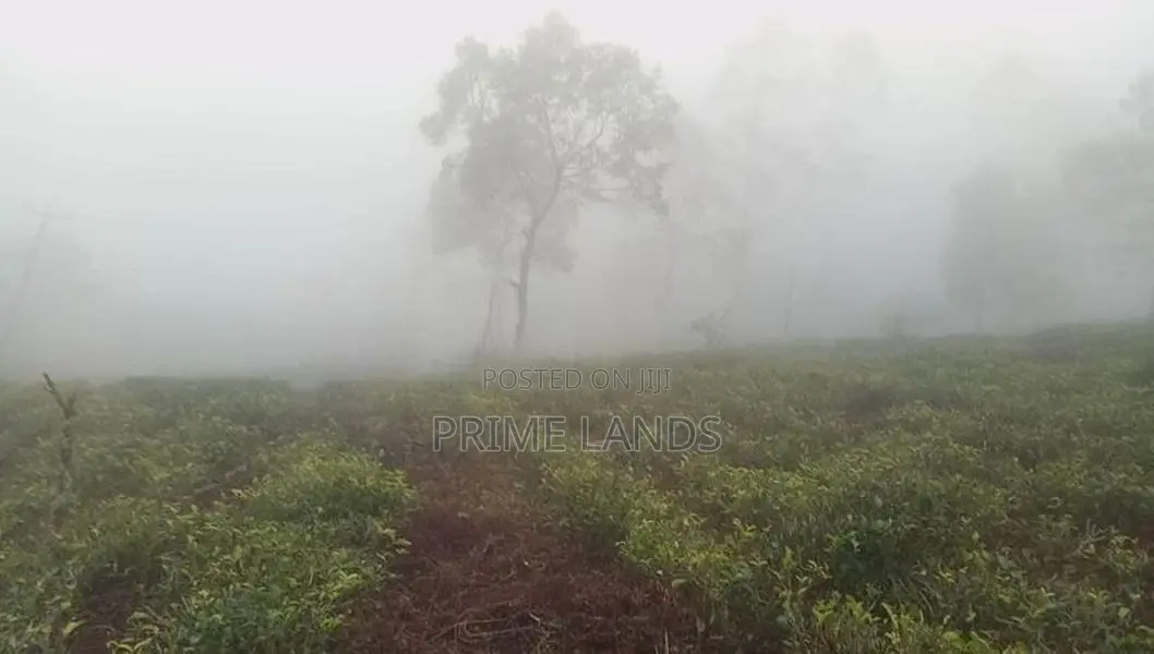Land for sale Nuwara Eliya