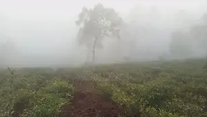 Land for sale Nuwara Eliya