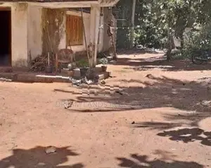 Commercial Land for Sale in Beliatta (sp811)