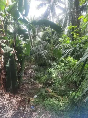 Land For Sale In Kesbewa