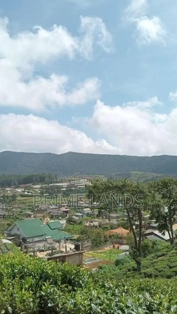 Land for nuwaraeliya