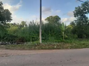 160 Perch Land Suitable for any type of Factory Katunayaka