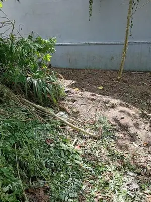 super land for sale in palawatte Ds8545
