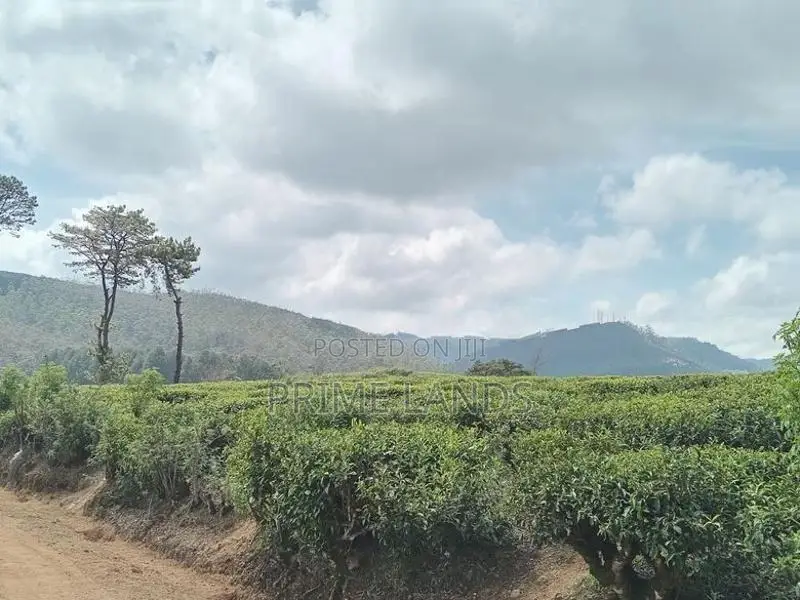 Land for Sale Nuwara Eliya