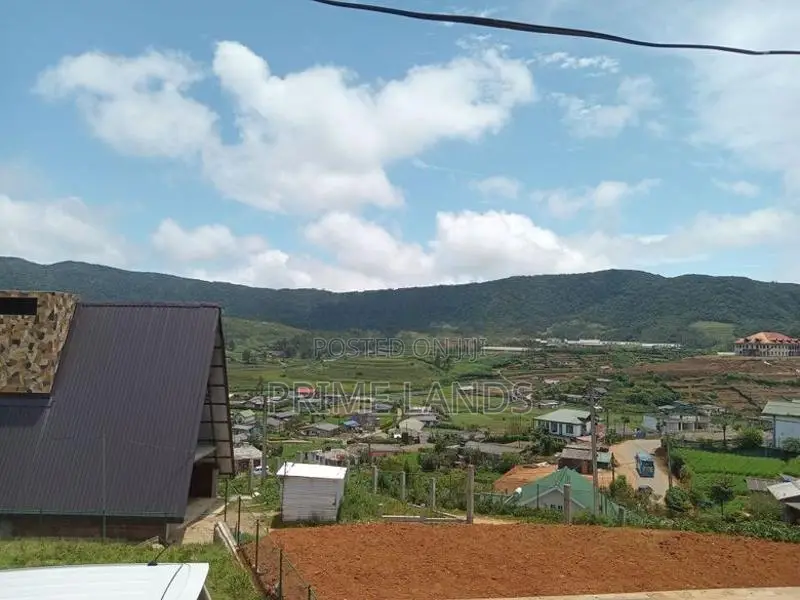 Valuable land for sale Nuwara Eliya