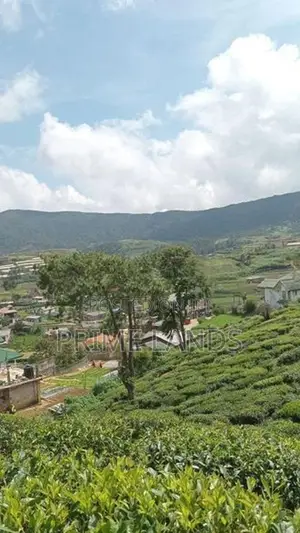 Land for nuwaraeliya